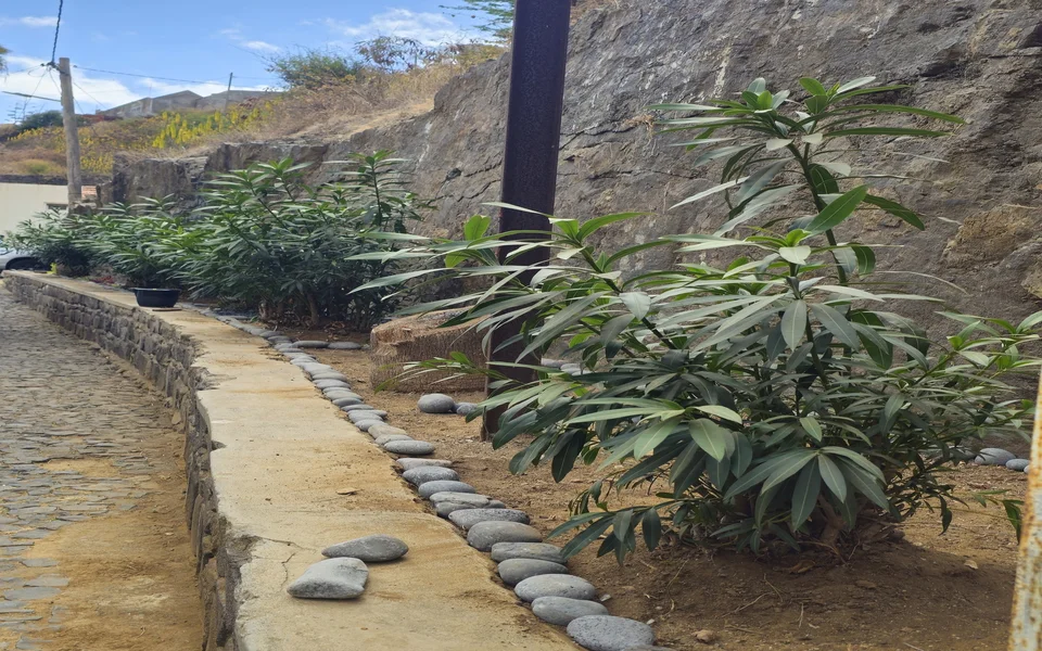 𝐑𝐢𝐛𝐞𝐢𝐫𝐚 𝐁𝐫𝐚𝐯𝐚 𝐌𝐚𝐢𝐬 𝐕𝐞𝐫𝐝𝐞